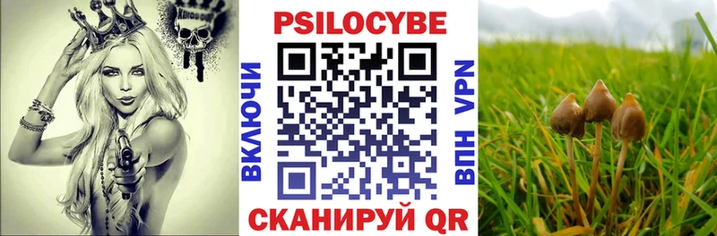 Псилоцибиновые грибы Psilocybine cubensis  omg ONION  Котлас 